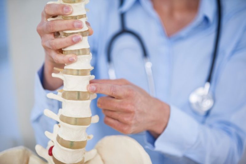 The Anatomy & Function of Your Spine